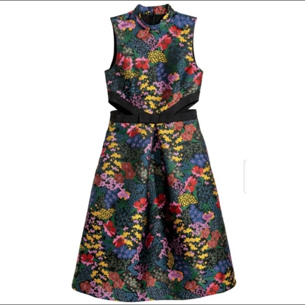 Erdem x H&M Floral Jacquard Dress sz 6